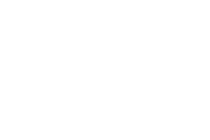 Digicon
